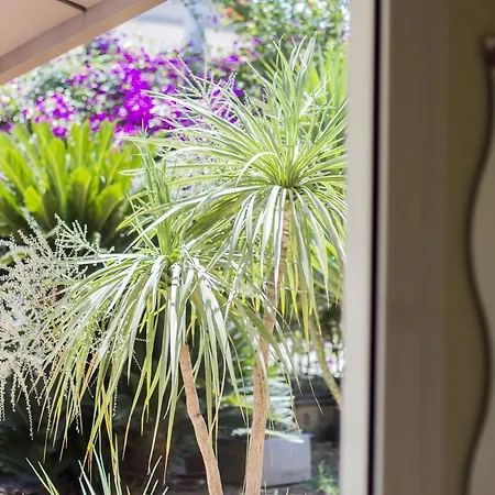 Mandarinoarancio Bed & Breakfast Alezio