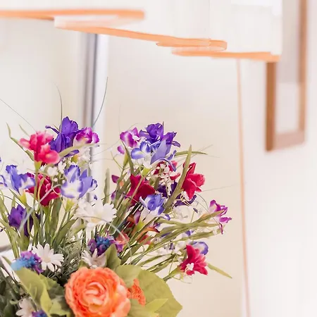 Mandarinoarancio Alezio