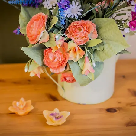 Mandarinoarancio Panzió 3*