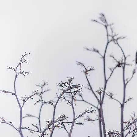Mandarinoarancio Panzió Alezio