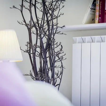 Mandarinoarancio Panzió