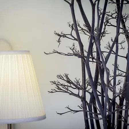 Mandarinoarancio Panzió