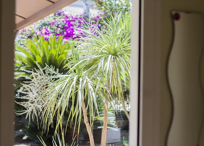 Mandarinoarancio Couette-café Alezio